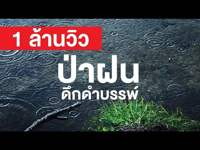 สารคดี สำรวจโลก ตอน ป่าฝนดึกดำบรรพ์