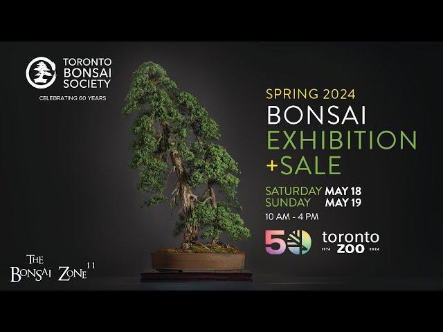 The Toronto Bonsai Society's Spring Show and Sale, The Bonsai Zone, May 2024