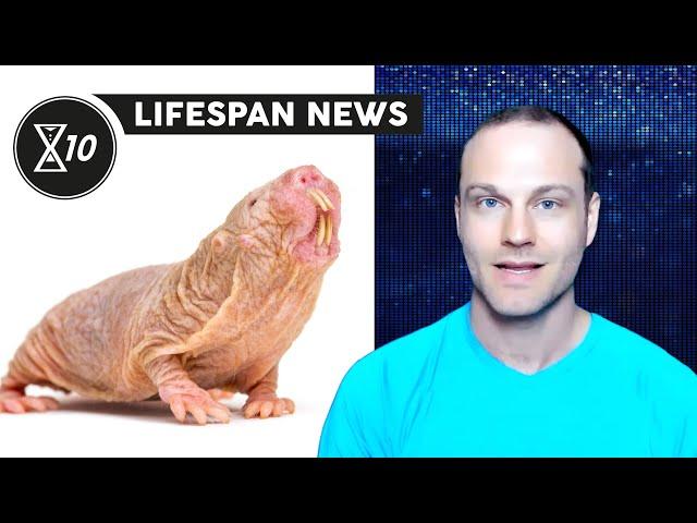 Lifespan.io Launches Lifespan News