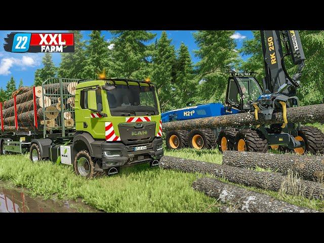 LS22: Start der XXL-Rodung im Wald: 100 Bäume weichen! | XXL Farm 2 #15 | FARMING SIMULATOR 22