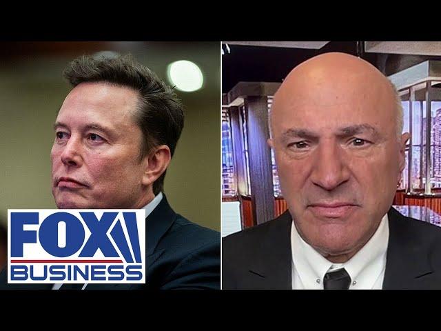 This is the power Elon Musk has: O’Leary loves ‘very contentious’ plan to cut spending