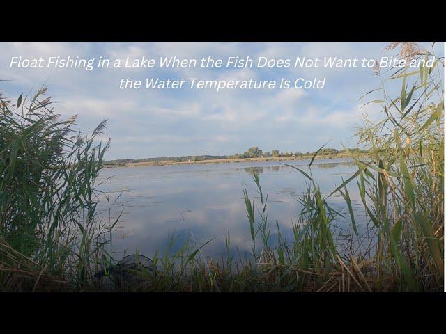 Float Fishing in a Lake When the Fish Does Not Want to Bite and the Water Temperature Is Cold [4K]