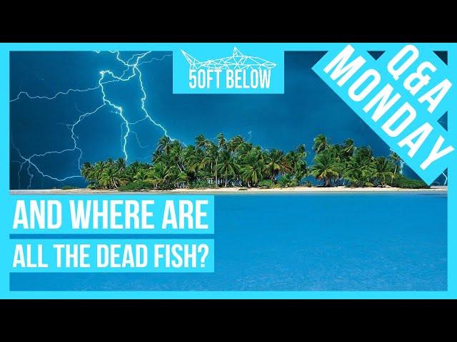 Will Lightning Kill You While Scuba Diving? | Scuba Q & A Monday