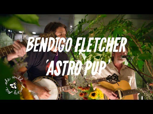 Bendigo Fletcher - Astropup | The Wild Honey Pie Dinner Party