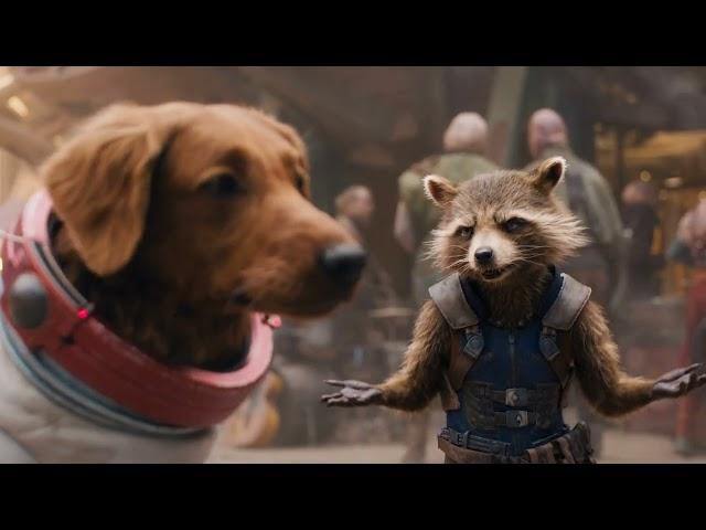 Rocket Raccoon and Cosmo SpaceDog - The Guardians of the Galaxy: Holiday