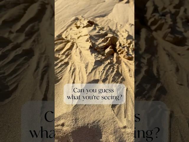 Earth Speaks Softly—Are You Listening?