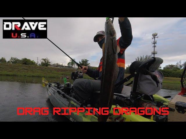 Some Brutal Topwater Snakehead Kayak Fishing - Drag Ripping Dragons!!!