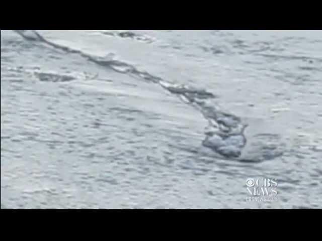 Icelandic river monster caught on tape?