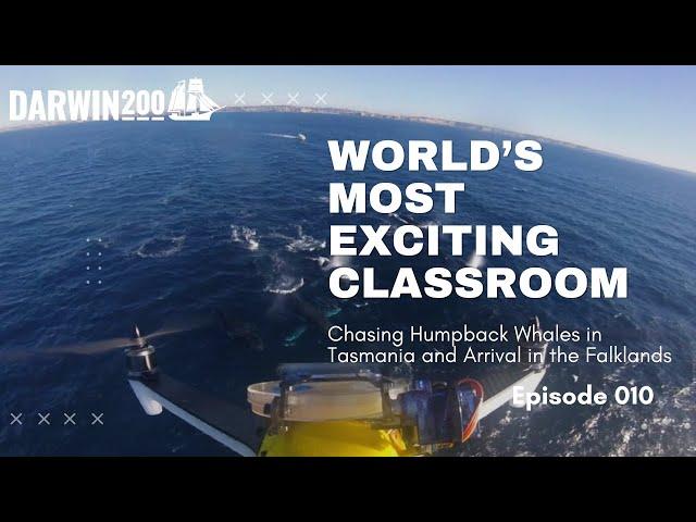 World's Most Exciting Classroom Episode 10: Chasing Humpback Whales and Arrival in the Falklands