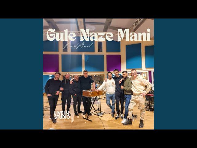 Gule Naze Mani