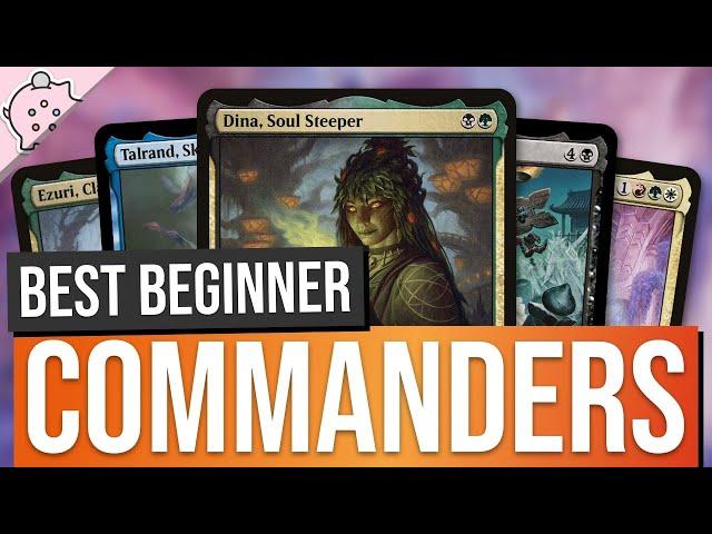 Best Beginner Budget Commanders for The Most Popular Strategies | Magic the Gathering