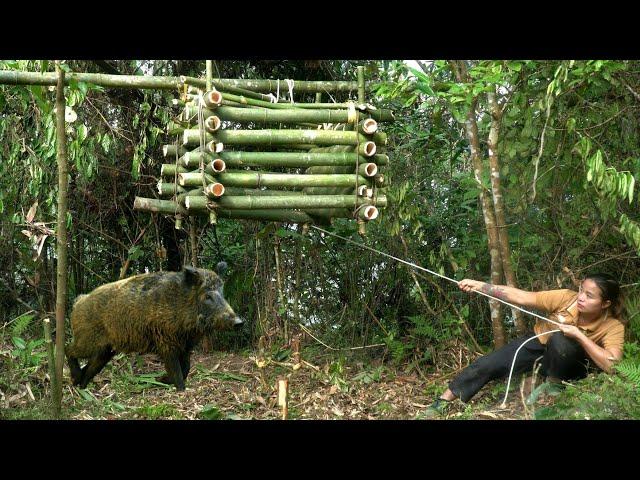 FULL VIDEO: 300 days of survival, wild boar hunting skills, wild boar traps, Survival alone