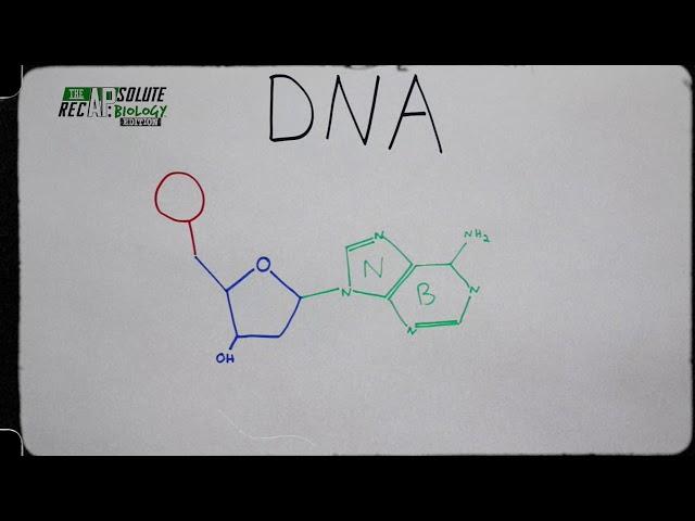 The APsolute RecAP - Bio Bites - Ep 001 - Nucleotide