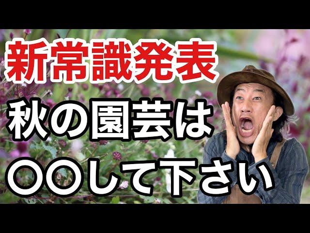 【知らないと損】やった人だけ得する秋のガーデニング術教えます　　　　【カーメン君】【園芸】【ガーデニング】【初心者】