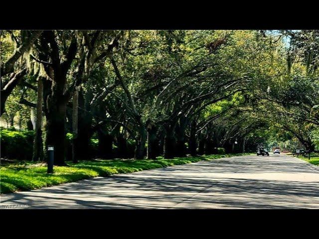 THE VINES | Estero Florida Homes and Real Estate for Sale | by Steven Chase | Gated Community