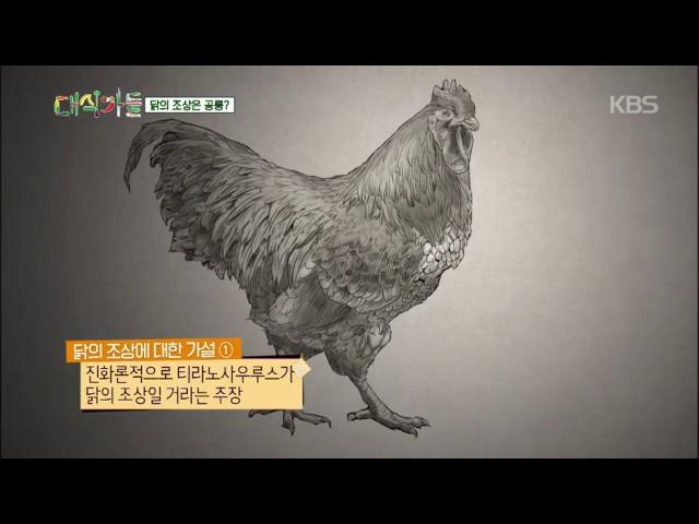 대식가들 - 세계인이 즐겨먹는 닭! 닭의 조상은 공룡?.20161029