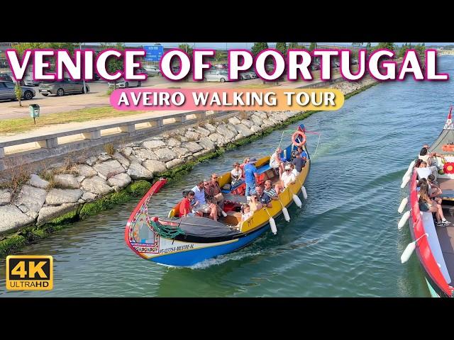 Venice of Portugal, Aveiro  4K City Walking Tour 2024 [With Captions]