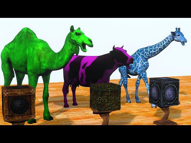 WILD Animals Gift Box CHALLENGE! select the right key funny video