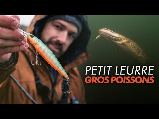 Je CHERCHE ce poisson à 700 Dents dans une eau translucide ! Pêche aux leurres.