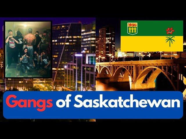 The Gangs of Saskatchewan, Canada #saskatchewan #saskatoon #regina #crimepatrol #crimestories