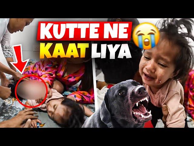 Aadya ko kutte ne kata | 6 Injections lagwane padege | LittleGlove