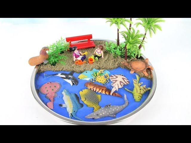 Learn Names of Sea Animals For kids DIY Mini Beach Ocean sand Sea Animals with Dolphin Shark Lobster