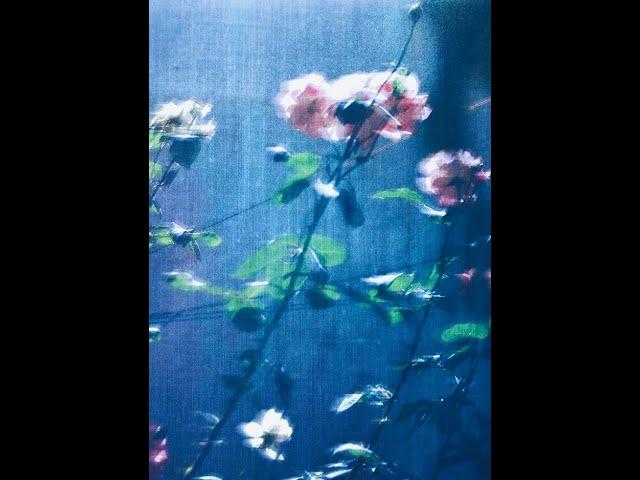 [FREE] untiljapan x Clams Casino x Experimental Type Beat "STILL" (prod.oson x bre.beats)