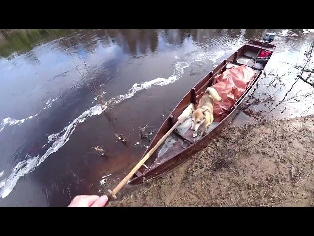 Уехали в поход в тайгу на несколько дней. Трудный путь по таёжной речке. 1 серия