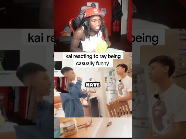 "You have an asian face." #Kai #kaicenat #kaicenatclips #kaiclips #shorts #clips #twitch #streamer