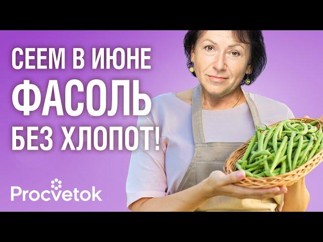 СМЕЛО СЕЙТЕ В ИЮНЕ! Фасоль взойдет быстро и дружно и порадует хорошим урожаем, если посеете ее так