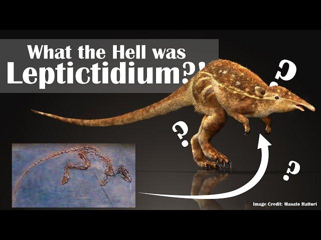 Leptictidium: A Strange Dawn for the Age of Mammals