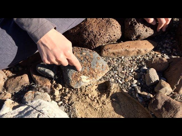 Tropical Coral fossils in Death Valley – California Geology | BetterGeology