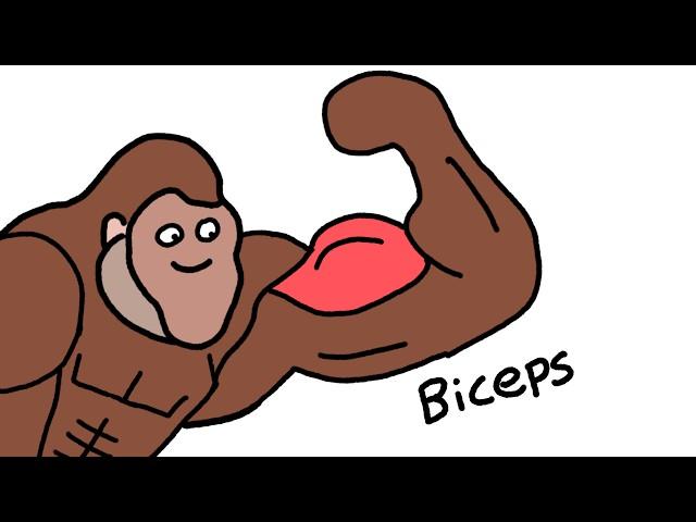 How To Get Big Biceps Explained By Ape