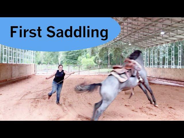 Zara First saddling