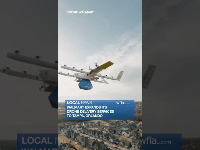 Walmart bringing drone service to Tampa