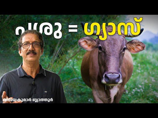 പശു അറിവ് COW and Global Warming ദഹനം Cattle produce methane gas #cow #animalfactsvideos #ruminant