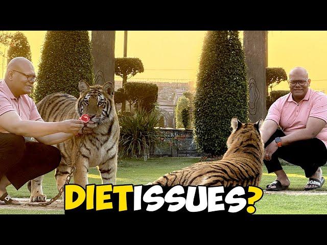 Saleena aur Sivara ke diet issues | New dog ka kya naam rakhain?  | BT Farm Stories Vlog #45