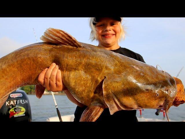 FLATHEAD CATFISH During the Day with Cut Bait