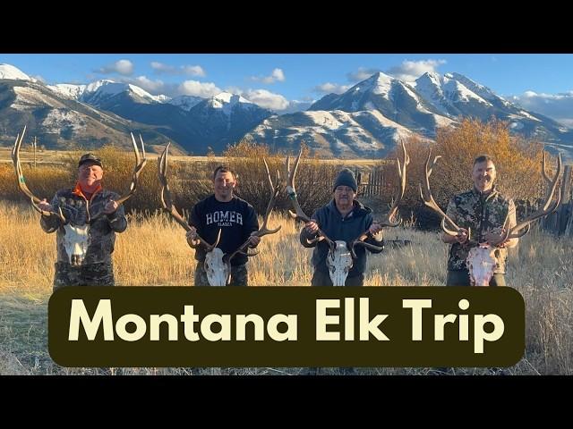 Montana Elk Hunt