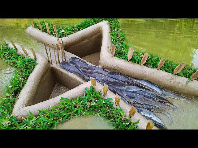 Unique Amazing Easy Fish Trap | Unique Easy Fish Trap System 2022