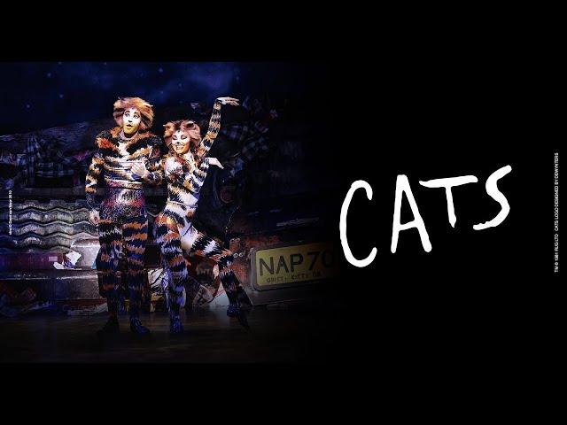 #CATS - Das #Musical im #Ronacher | #Trailer #Wien