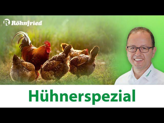 Röhnfried Hühnerspezial - Aufzuchtsverluste, dünne Eierschalen & Stallpflicht