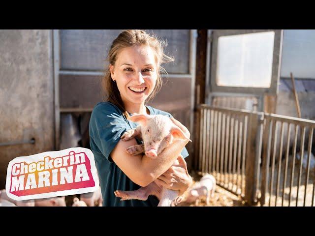 Der Bauernhof-Check | Reportage für Kinder | Checkerin Marina