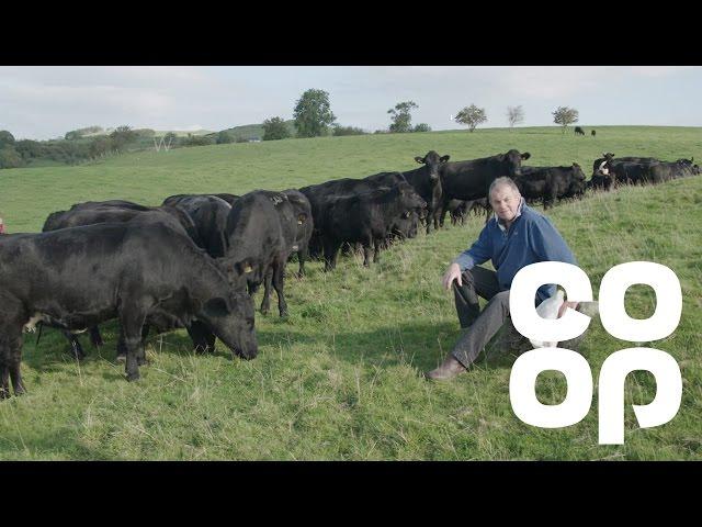 Co-op Food | Meet the Producer - Aberdeen Angus Beef