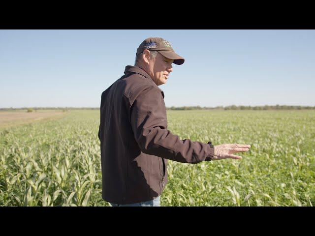 Rick Clark on Soil Health, Compost Extract and Eliminating Input Costs