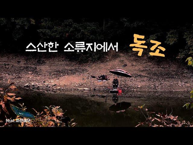 붕어낚시꾼 나래붕어 스산한소류지에서 독조 (feat.파란새우)