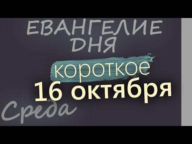 16 октября, Среда. Евангелие дня 2024 короткое!