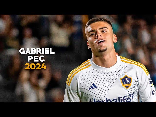 Gabriel Pec 2024 - Crazy Skills, Goals & Assists | HD