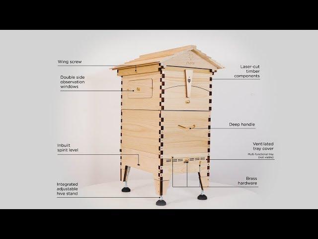 Flow Hive 2 Araucaria Product Walkthrough