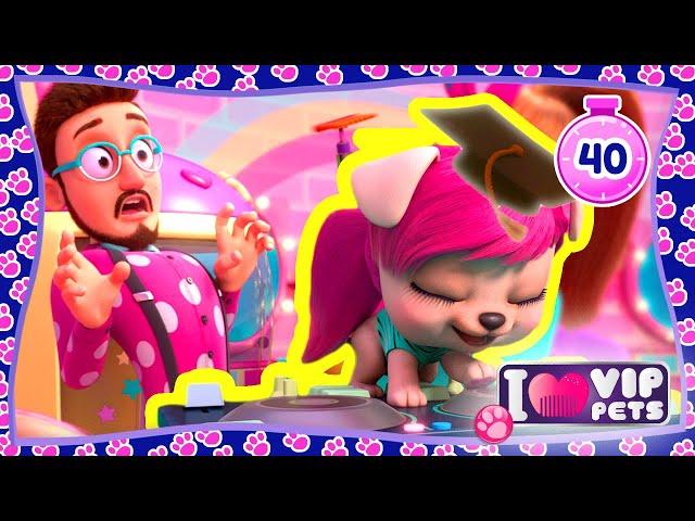  HAIRSTYLES and FRIENDS   VIP Pets   CARTOONS for KIDS in ENGLISH 